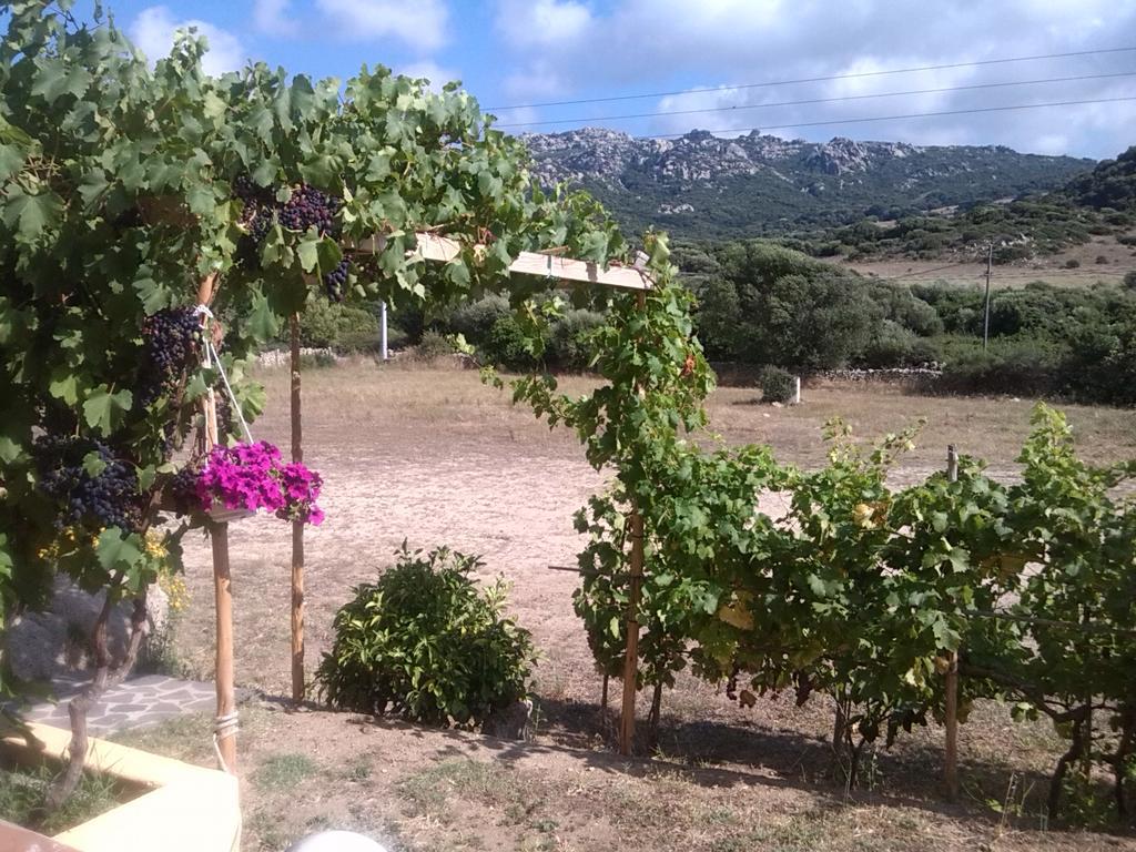 Agriturismo Sardo Villa Campavaglio Eksteriør billede