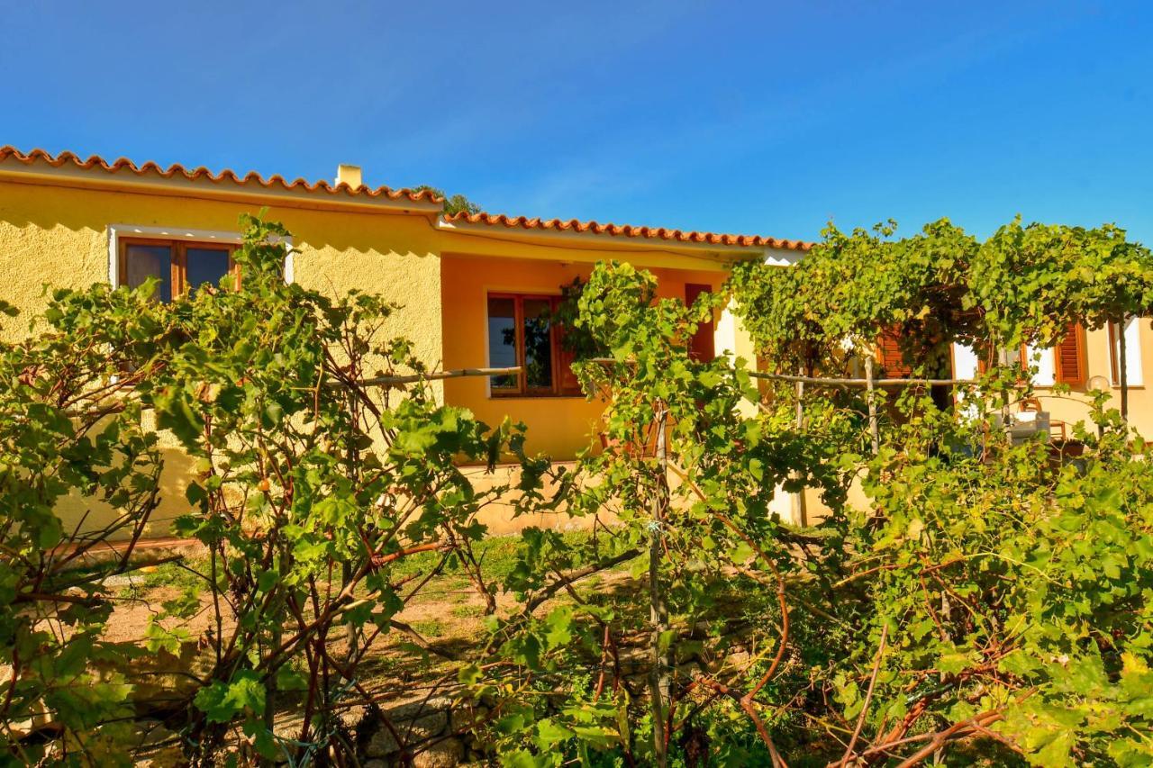 Agriturismo Sardo Villa Campavaglio Eksteriør billede