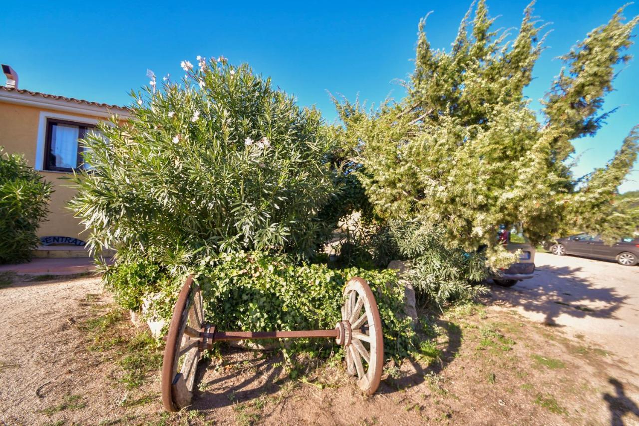 Agriturismo Sardo Villa Campavaglio Eksteriør billede